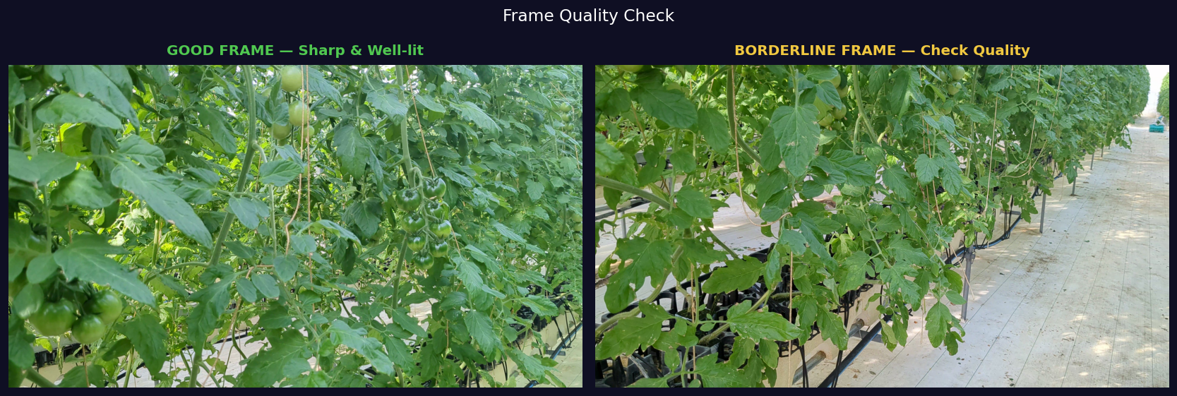 Side-by-side comparison of good frame vs blurry frame