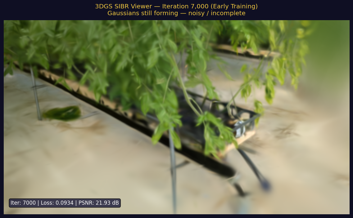 SIBR viewer at iteration 1000 showing blurry initial gaussian splat