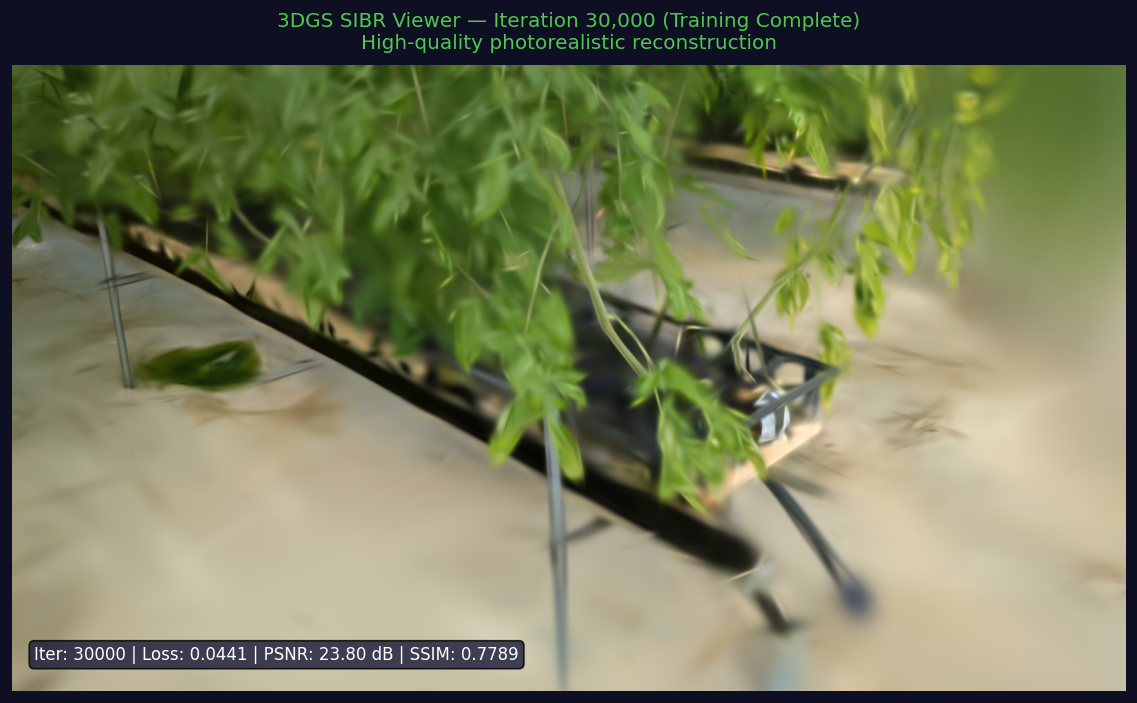 SIBR viewer at iteration 30000 showing sharp detailed plant reconstruction