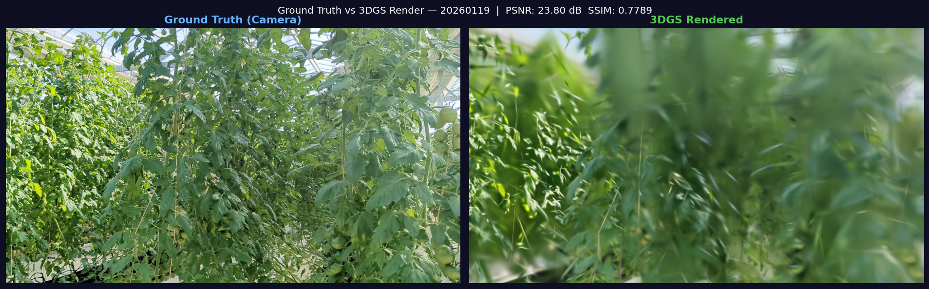 Side-by-side comparison of ground truth frame vs 3DGS rendered frame of plant